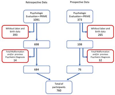 Factors associated with depression during pregnancy in women receiving high- and low-risk prenatal care: a predictive model